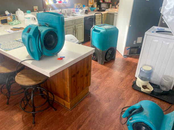 Best 24-hour water damage restoration  in Elroy, WI