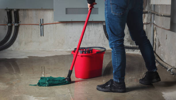 Best Water damage restoration near me  in Elroy, WI