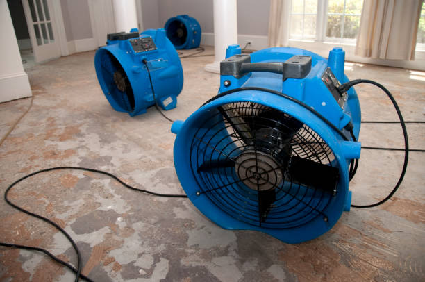  Elroy, WI Water damage restoration Pros