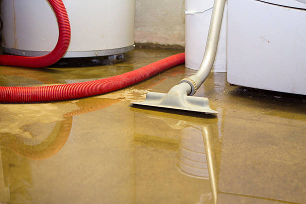 Best Fire Damage Restoration  in Elroy, WI