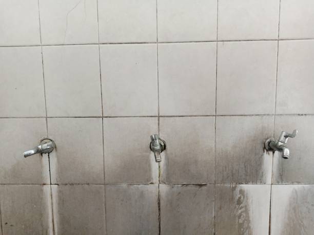 Best Professional water damage repair  in Elroy, WI