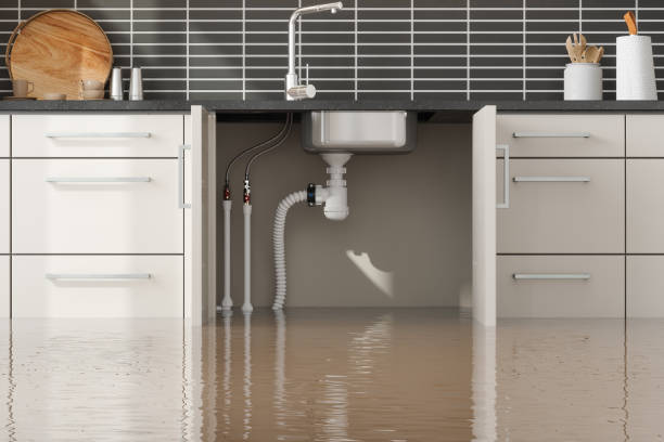 Best Carpet water damage restoration  in Elroy, WI