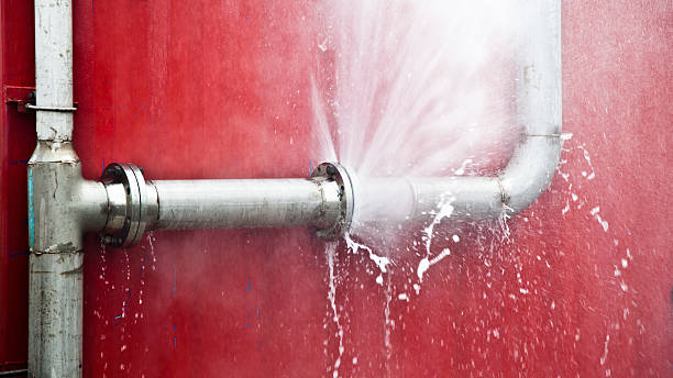 Best 24/7 water damage repair  in Elroy, WI